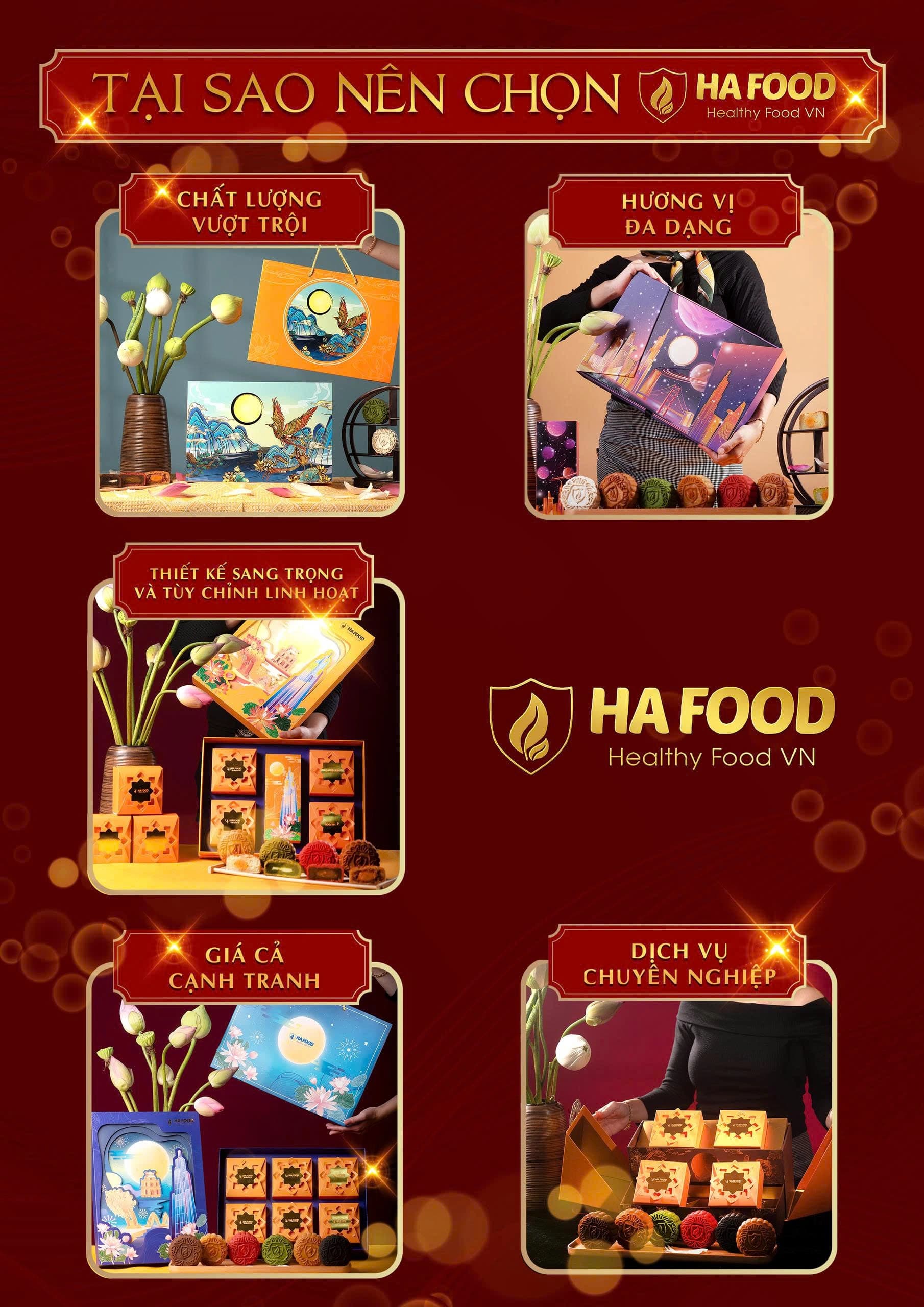 Giới thiệu HAFOOD VN
